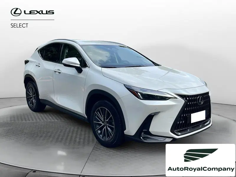 Lexus NX usata a Roma (7)