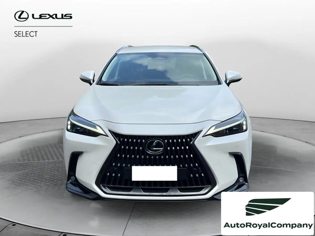 Lexus NX usata a Roma (8)