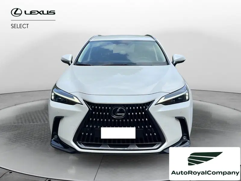 Lexus NX usata a Roma (8)