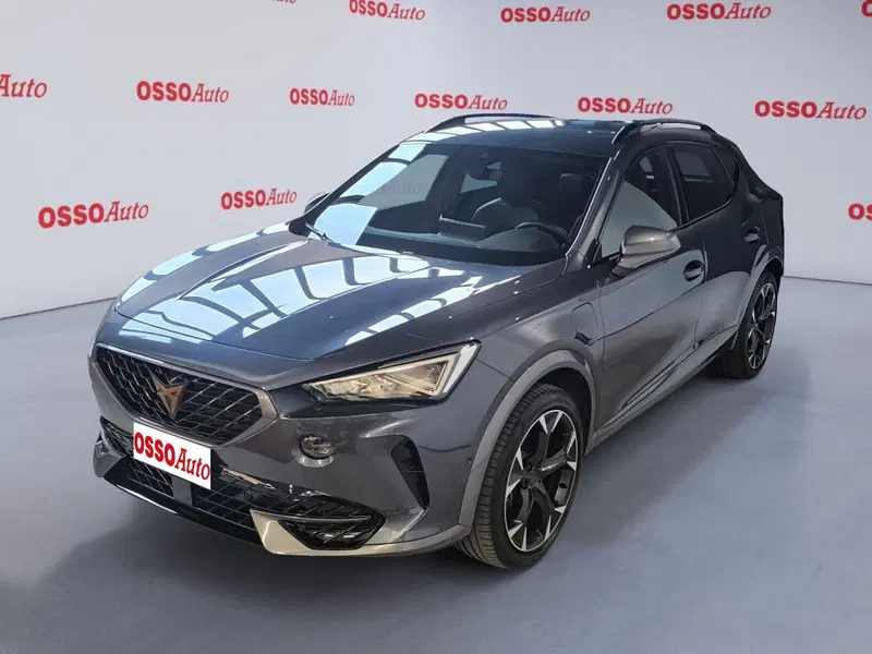 Cupra Formentor usata a Udine