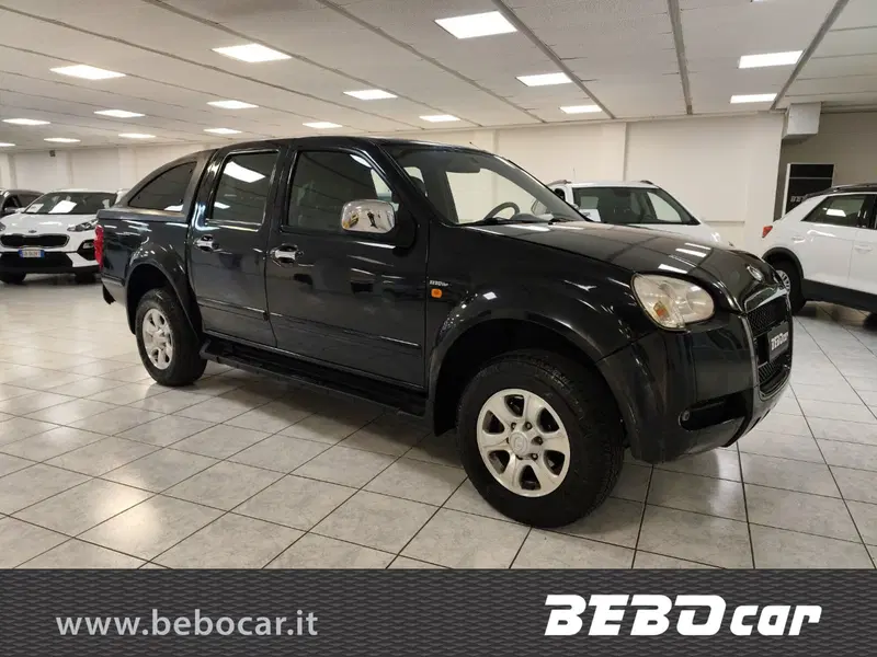 Great Wall Steed Pick-up usata a Torino (3)