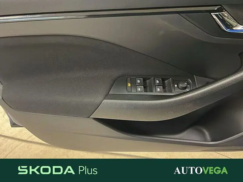 Skoda Kamiq usata a Vicenza (16)