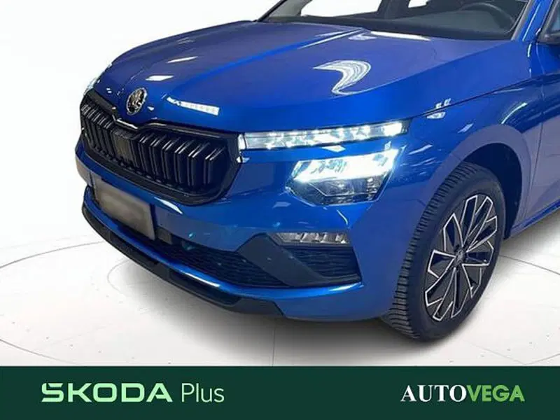 Skoda Kamiq usata a Vicenza (19)