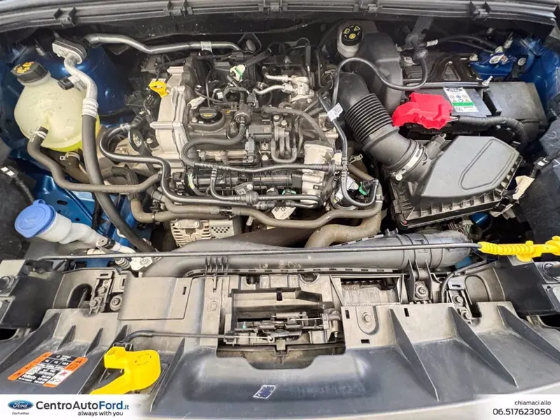 Ford Puma usata a Roma (12)