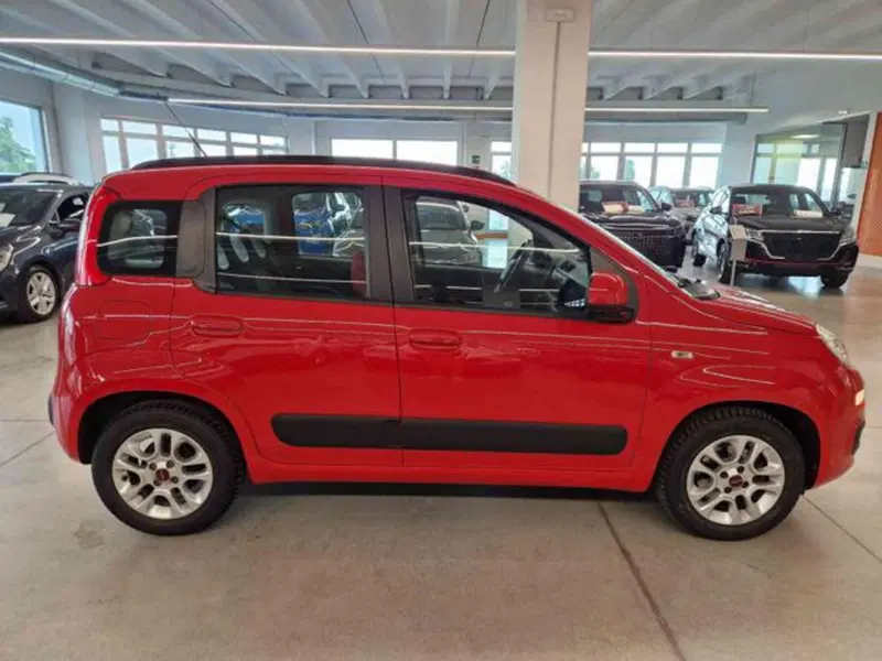 Fiat Panda usata a Bologna (4)
