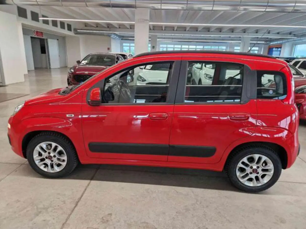 Fiat Panda usata a Bologna (7)