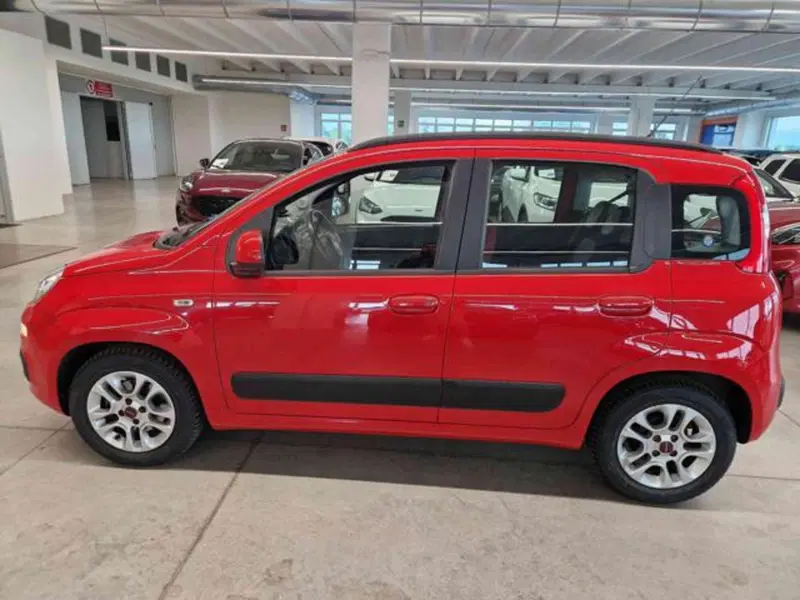Fiat Panda usata a Bologna (7)