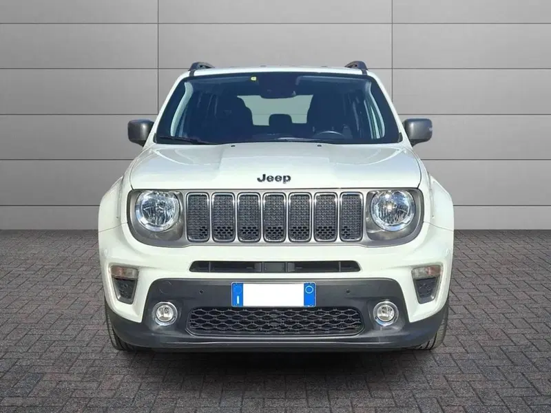 Jeep Renegade usata a Torino (3)