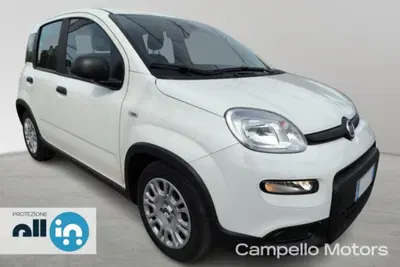 Fiat Panda 1.0 firefly hybrid s&amp;s 70cv 5p.ti del 2024 usata a Venezia