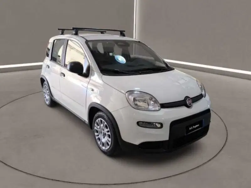 Fiat Panda Cross usata a Caltanissetta (2)