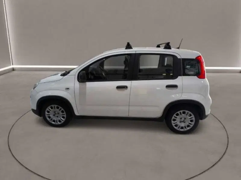 Fiat Panda Cross usata a Caltanissetta (4)