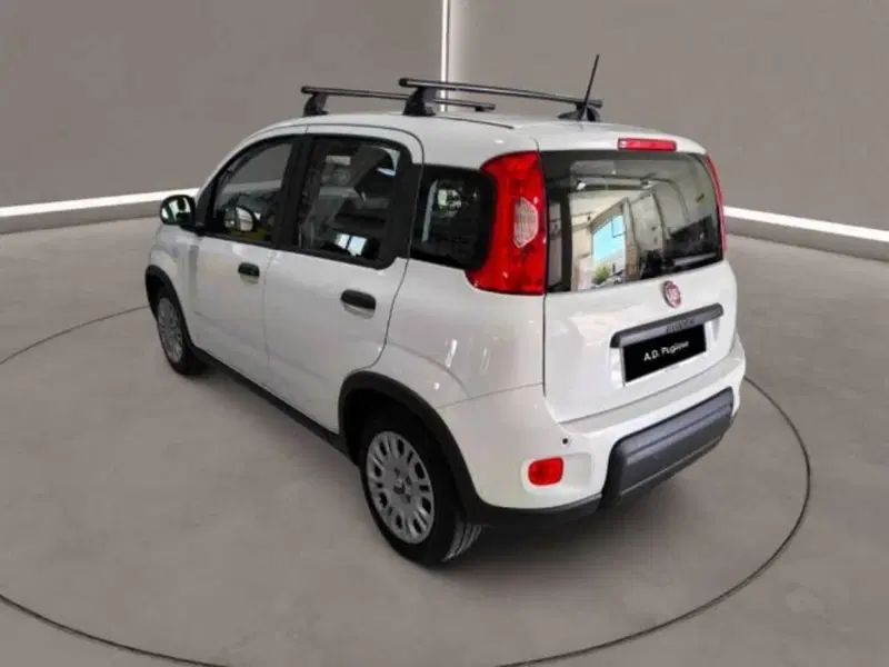 Fiat Panda Cross usata a Caltanissetta (7)