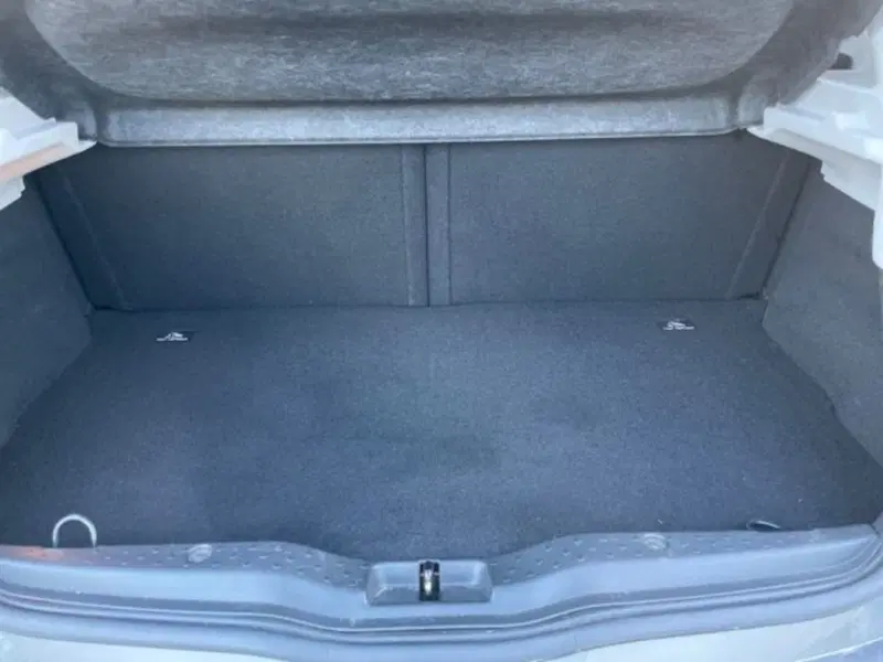 smart forfour usata a Vercelli (5)