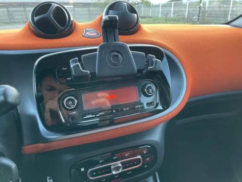 smart forfour usata a Vercelli (9)