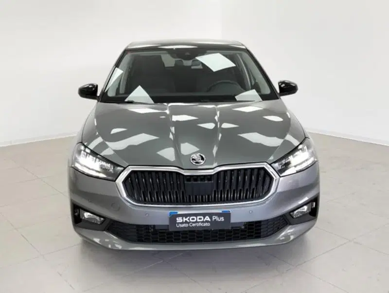 Skoda Fabia usata a Como (6)