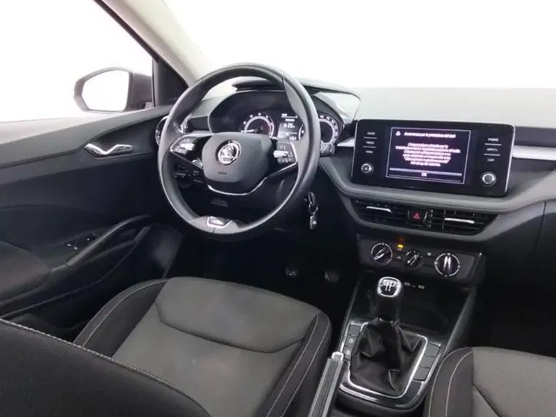Skoda Fabia usata a Como (10)