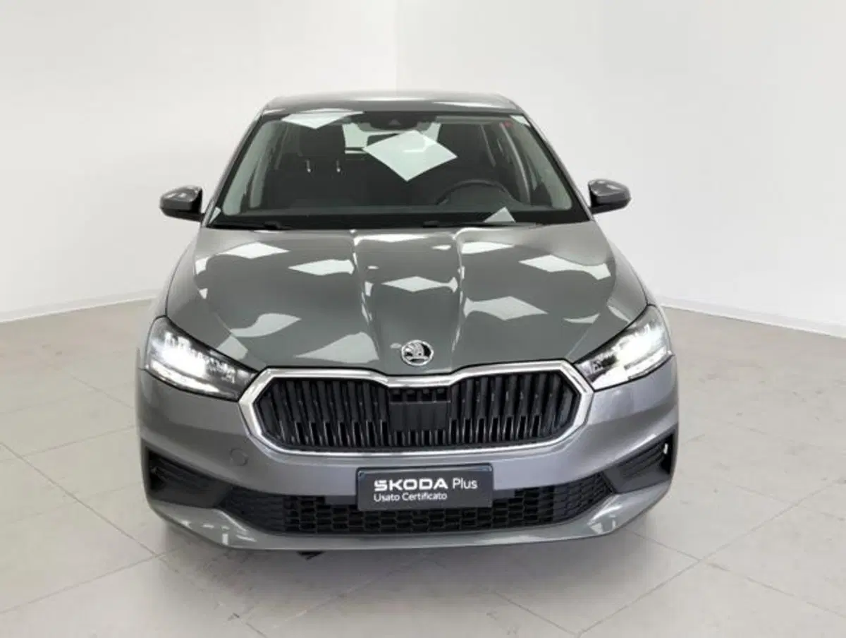 Skoda Fabia usata a Como (6)