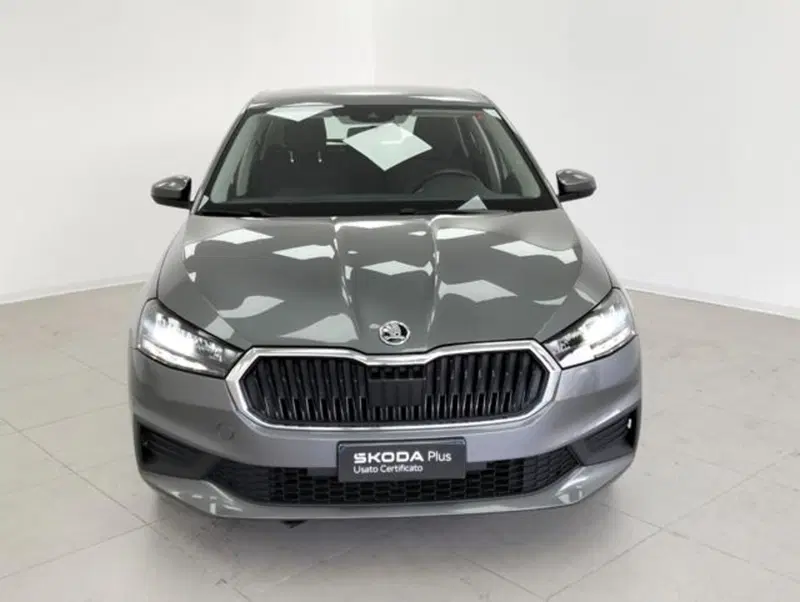 Skoda Fabia usata a Como (6)