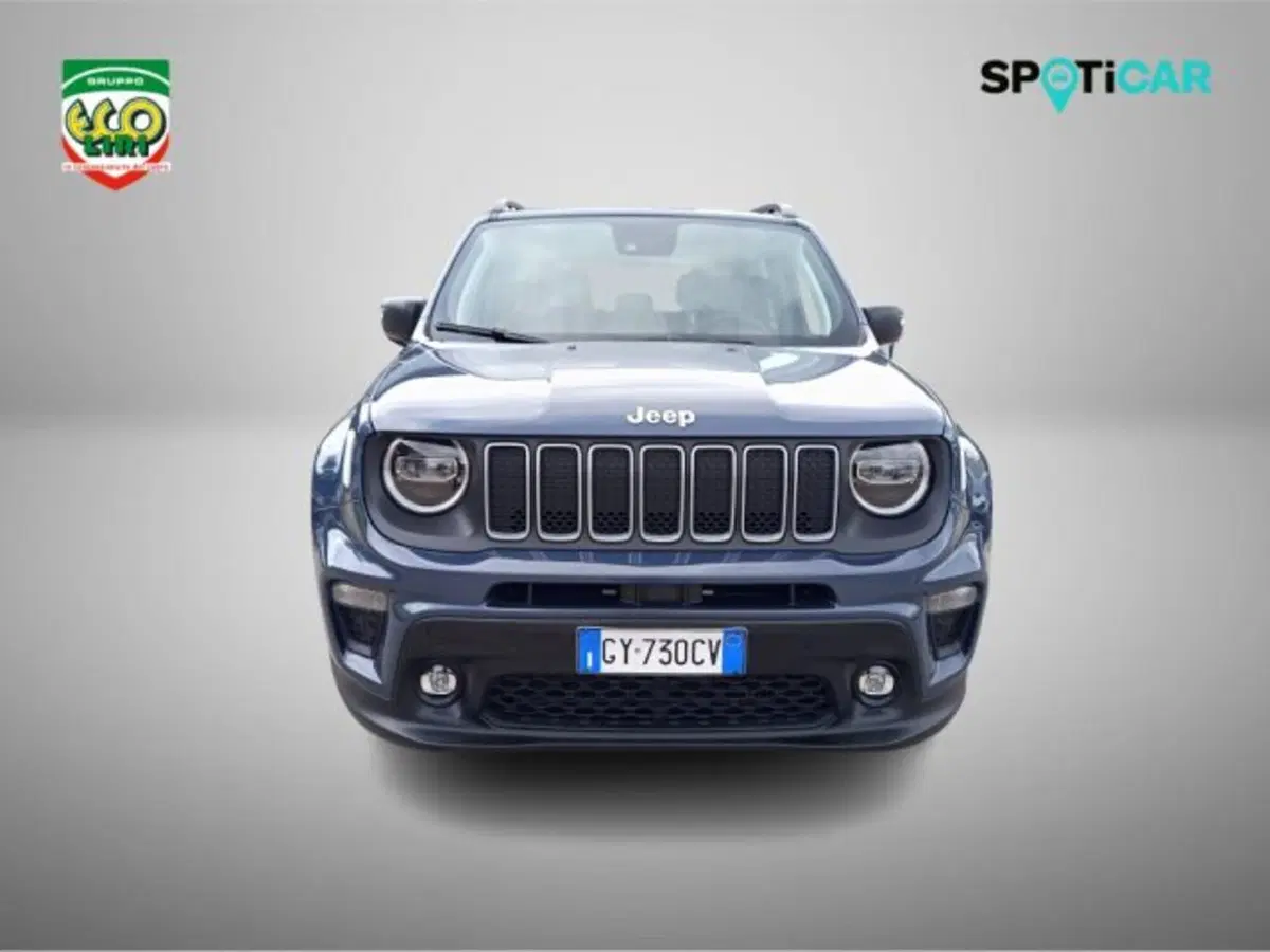 Jeep Renegade usata a Frosinone (2)