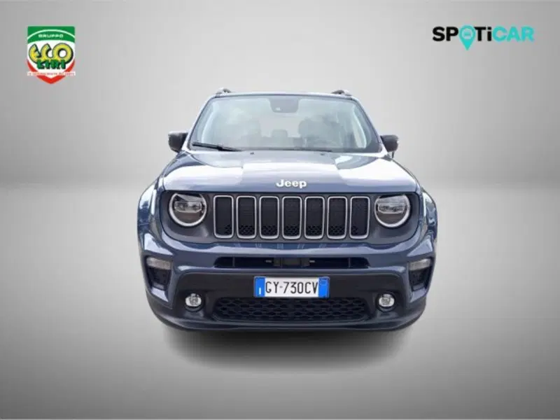 Jeep Renegade usata a Frosinone (2)