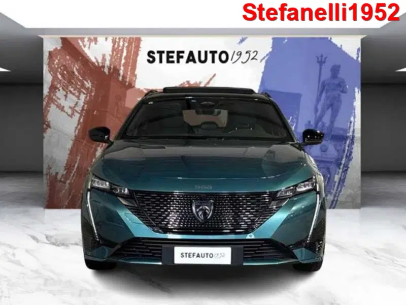 Peugeot 308 SW usata a Bologna (2)