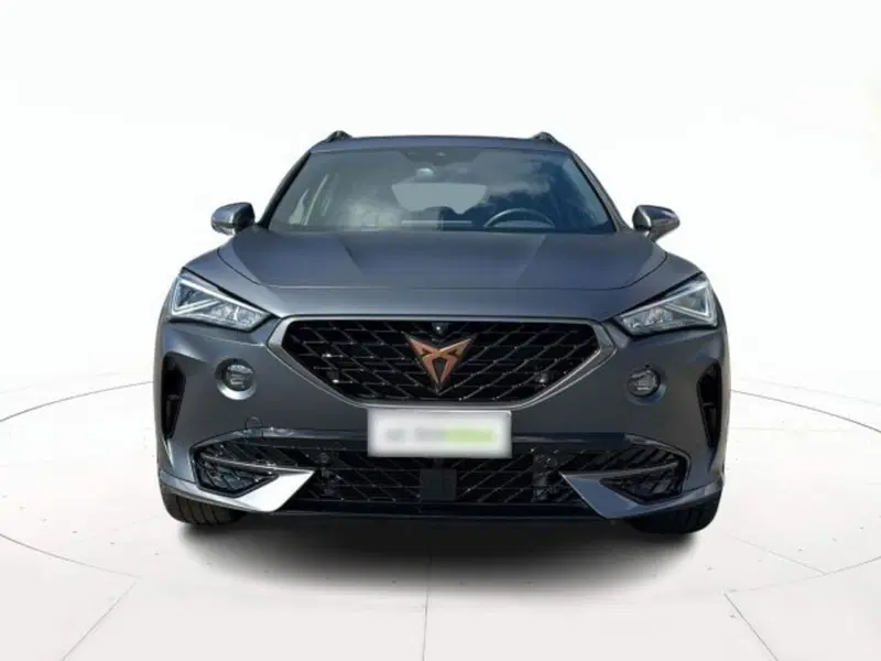 Cupra Formentor usata a Vicenza (2)