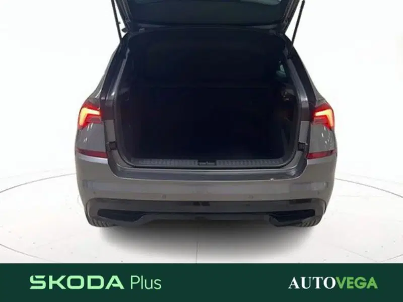 Skoda Kamiq usata a Vicenza (20)