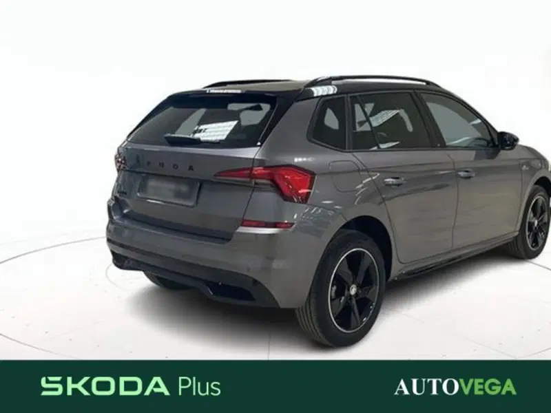 Skoda Kamiq usata a Vicenza (4)