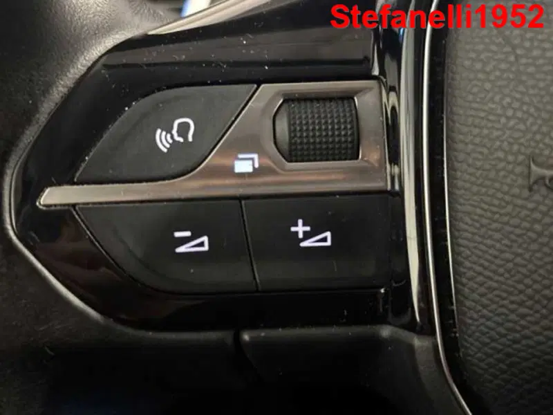 Peugeot 3008 usata a Bologna (19)