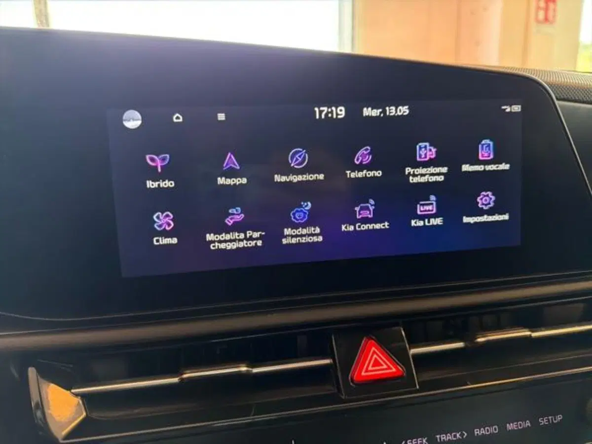 Kia Niro usata a Sassari (10)