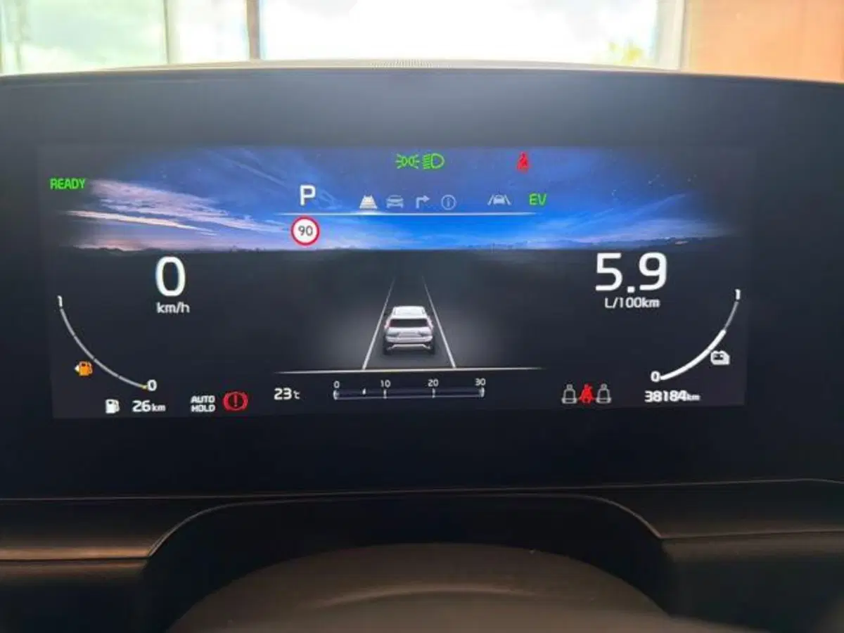 Kia Niro usata a Sassari (9)