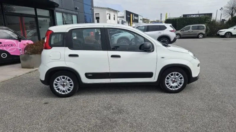 Fiat Panda usata a Lucca (3)