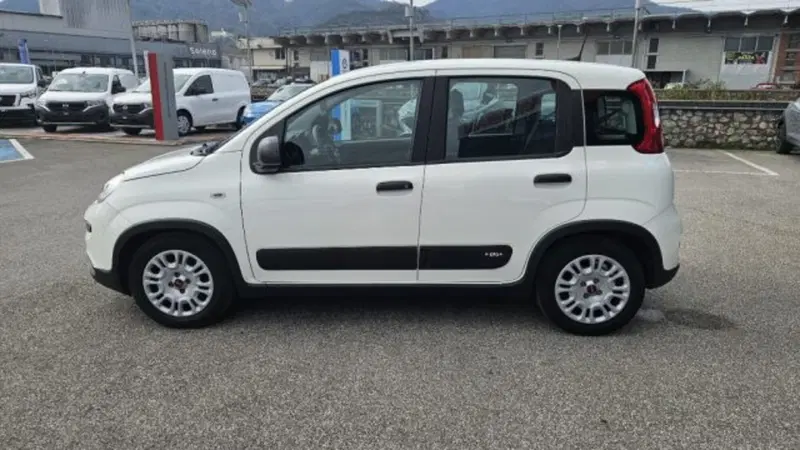 Fiat Panda usata a Lucca (7)
