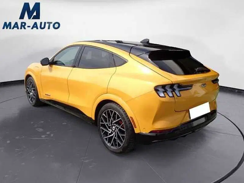 Ford Mustang Mach-E usata a Treviso (2)