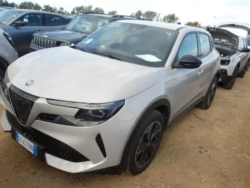 Alfa Romeo Junior usata a Alessandria