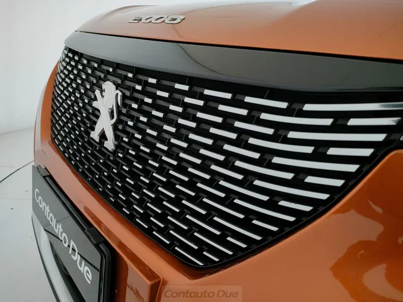 Peugeot 2008 usata a Caserta (20)