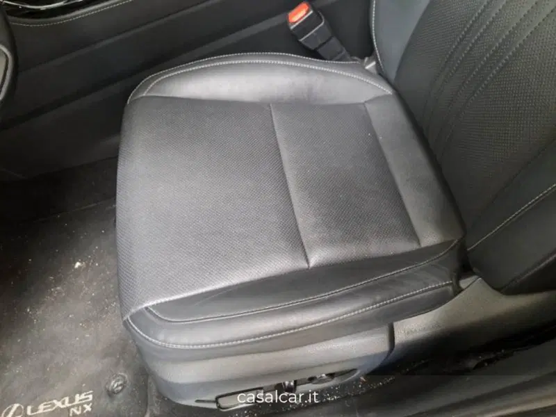 Lexus NX usata a Salerno (11)