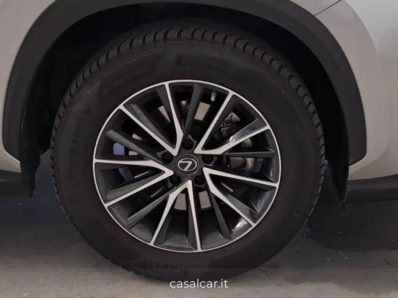 Lexus NX usata a Salerno (15)