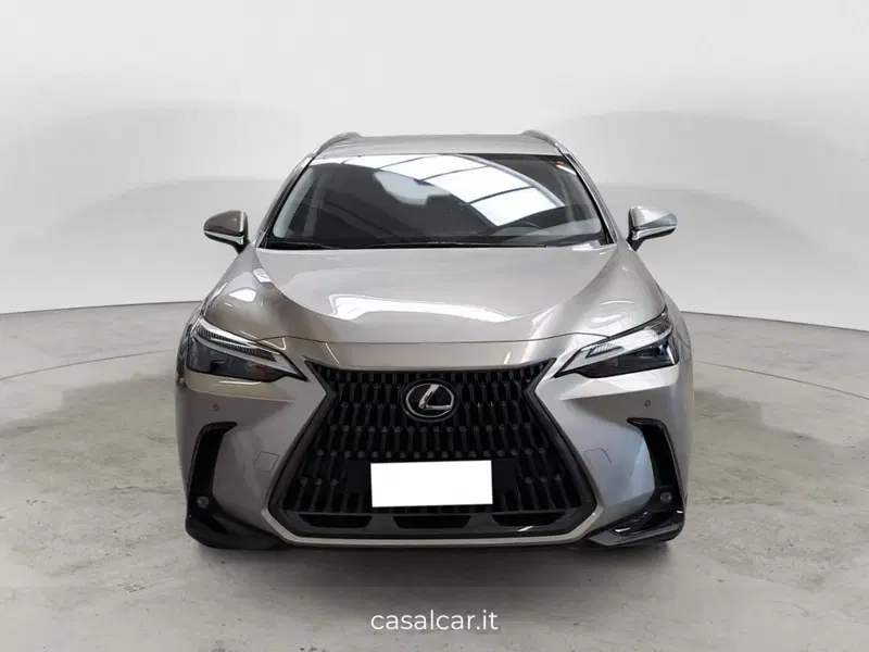 Lexus NX usata a Salerno (2)