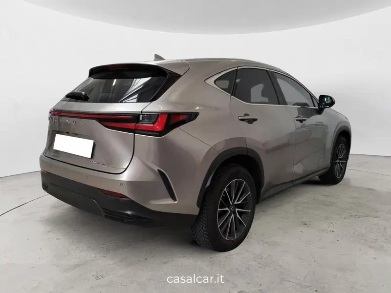 Lexus NX usata a Salerno (3)