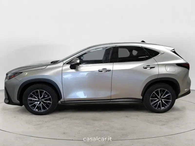 Lexus NX usata a Salerno (4)