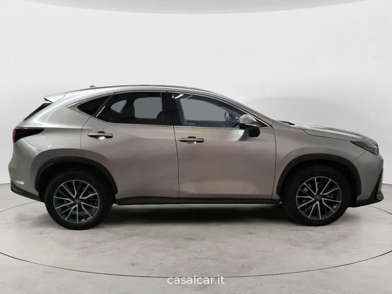 Lexus NX usata a Salerno (5)