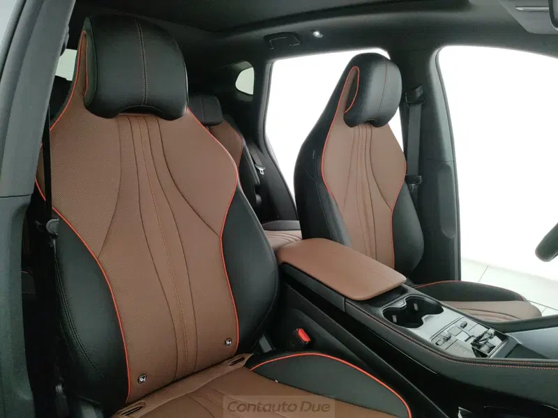 Byd Seal U DM-i  nuova a Caserta (17)
