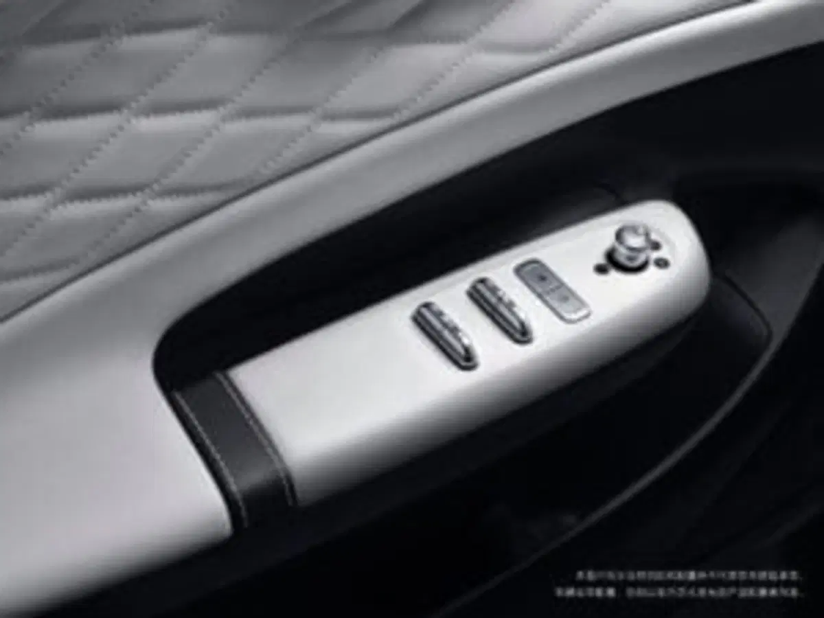 Dongfeng Box  nuova a Frosinone (11)