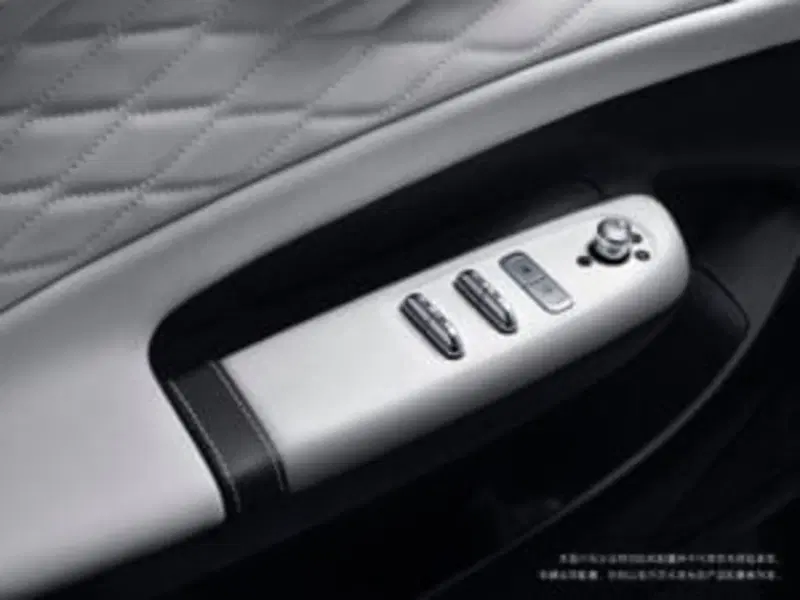 Dongfeng Box  nuova a Frosinone (11)
