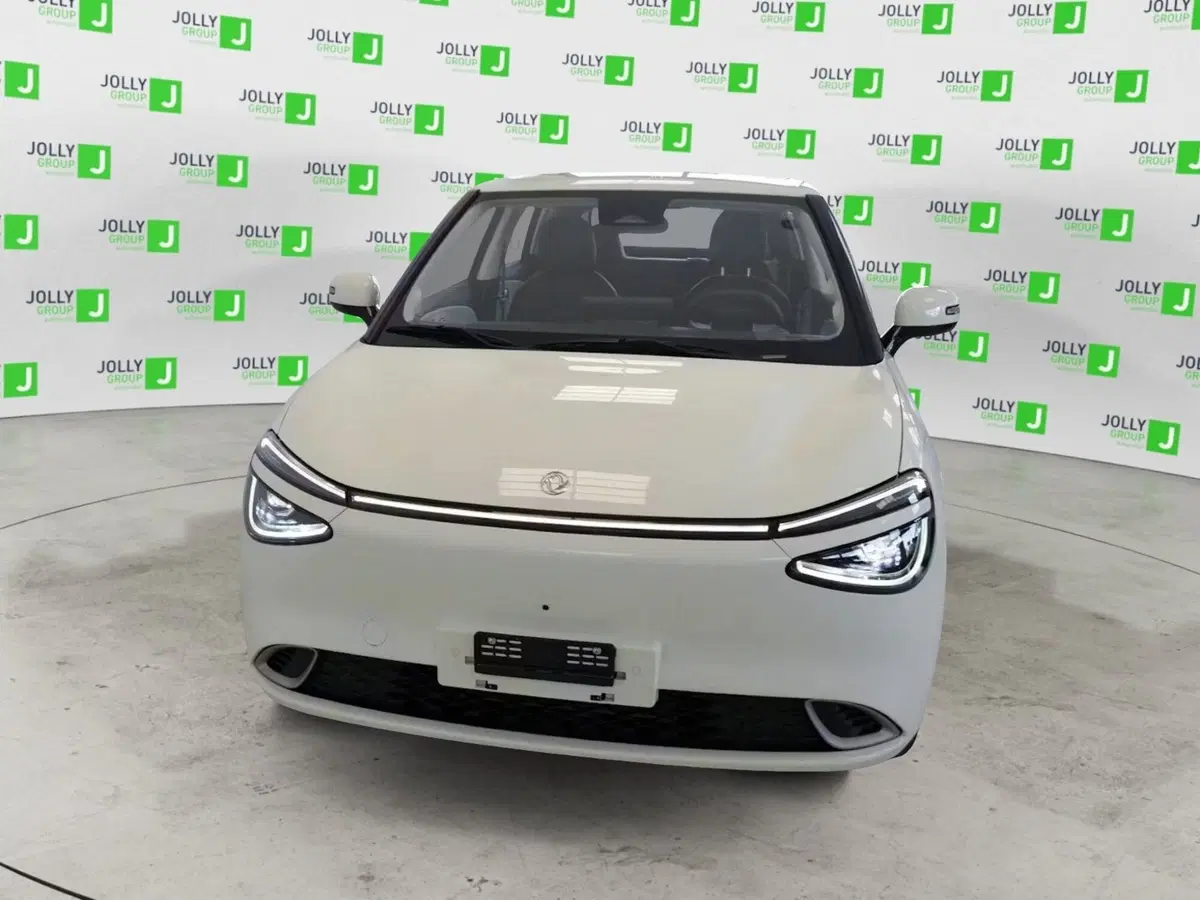 Dongfeng Box  nuova a Frosinone (2)