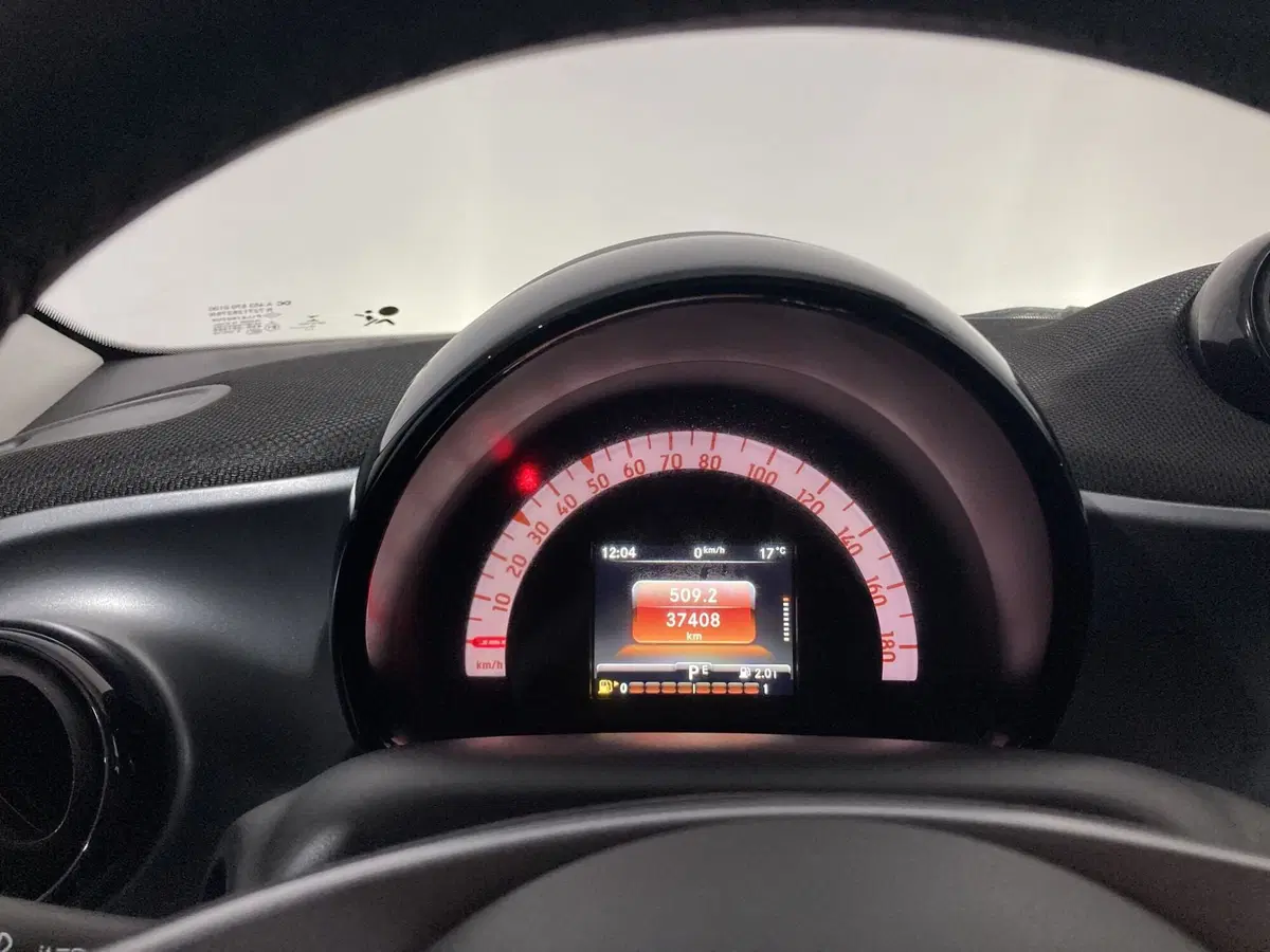 smart forfour usata a Barletta-Andria-Trani (10)