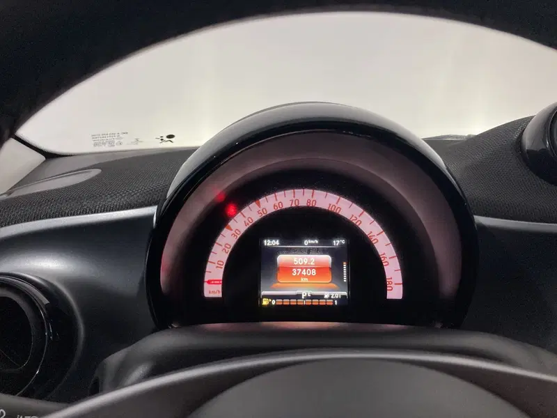 smart forfour usata a Barletta-Andria-Trani (10)