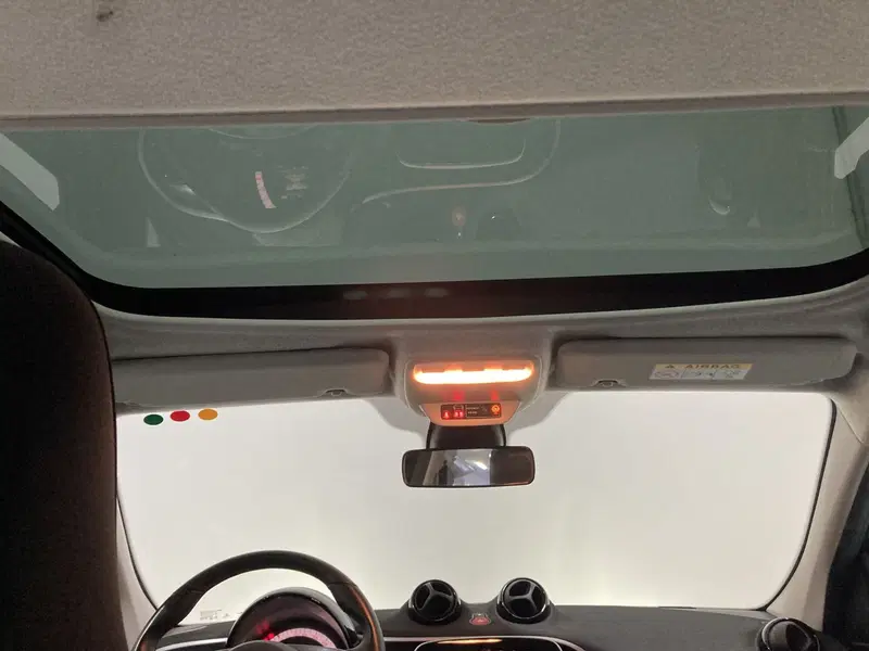 smart forfour usata a Barletta-Andria-Trani (13)