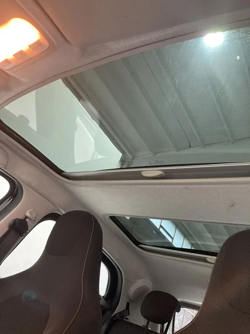 smart forfour usata a Barletta-Andria-Trani (14)